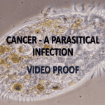 Cancer Parasitical