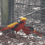 Low level workers, All day arguing and nothing gets done!